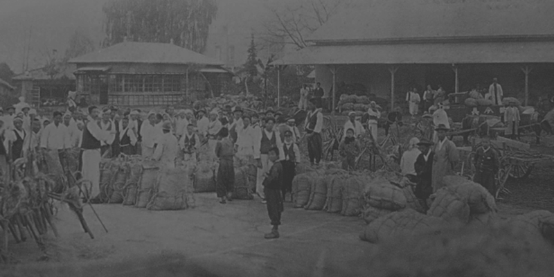 <p>The Beginning of Everything, Samsu Company</p>
