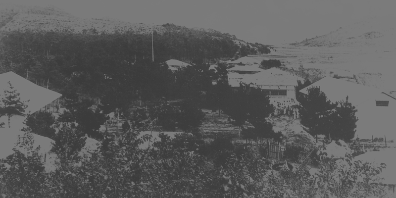 <p>Large-scale Reclamation Projects and the Establishment of Sonbul Farm</p>