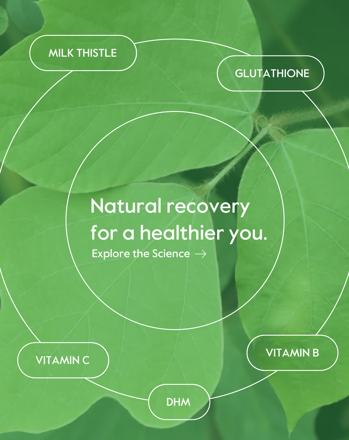 ET Ingredients Diagram: Natural recovery for a healthier you.